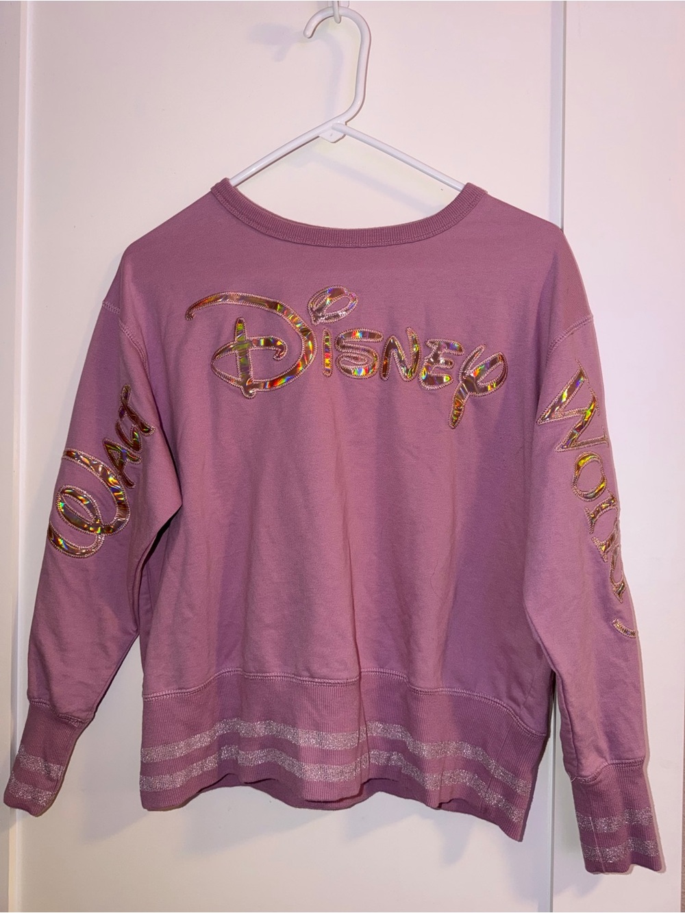 Disney World Women’s Spirt Jersey